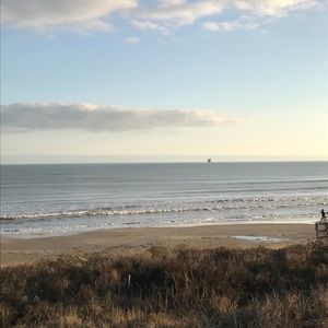 Meet your Posher, Brandy